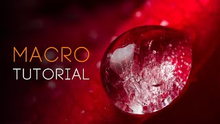 MACRO photography tutorial everything you need to know [upl. by Snej]