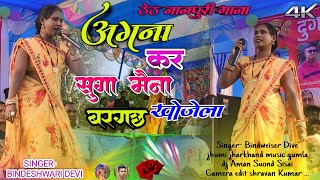 अंगना कर बनगछ सुगा मैंन खोजेला  New theth Nagpuri Video 2024  Singer  Bindeshwar Devi [upl. by Constanta66]