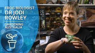 My Garden Path Frog Biologist Dr Jodi Rowley on studying Australia’s amazing frogs [upl. by Kowtko]