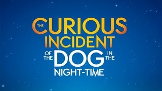 The Curious Incident of the Dog in the NightTime Comes to Chicago [upl. by Enyleuqcaj90]