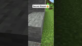 Minecraft Secret Room🤫 shorts [upl. by Ynnek]