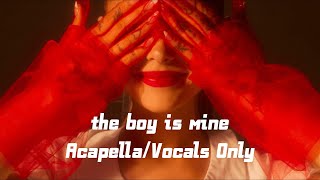 Ariana Grande  the boy is mine Almost Studio Acapella HQ [upl. by Fattal]