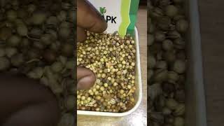 Dhaniya ka pani peene ke fayde  Sukhe dhaniya ke pani ke fayde  Coriander seeds water benefits [upl. by Foss]