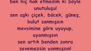 Tarkan Sevdanin Son Vurusu lyrics  made by Burcu [upl. by Ailed]