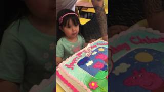 Chloes Peppa Pig 3rd Birthday [upl. by Jehius]