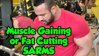 RAW RAGE SARMS REVIEW   Mk677 Results  LGD4033 Results [upl. by Cotterell]