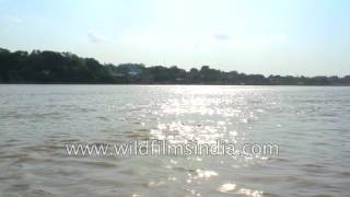 Ganga river imagery in slow motion filmed around Kanpur [upl. by Aldarcy287]