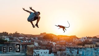 Parkour vs Monkeys 🇮🇳 [upl. by Nidroj143]