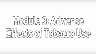 Nicotine’s Effects on the Brain amp Body amp How to Quit Smoking or Vaping  Huberman Lab Podcast 90 [upl. by Elysee]