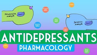 ANTIDEPRESSANT DRUG PHARMACOLOGY BPHARMA  GPAT   NIPER  2024 MCQ amp THEORY [upl. by Moira984]