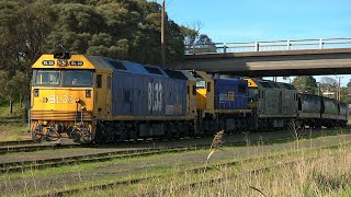 Portland Victoria Grain Train Unloading  BL33 X50 G539  23rd July 2024 [upl. by Yarak]