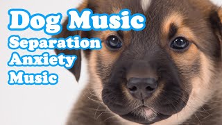 Healing Music for Dogs with Anxiety Deep Soothing Music for Anxious ill and Stressed Dogs [upl. by Eicnarf]