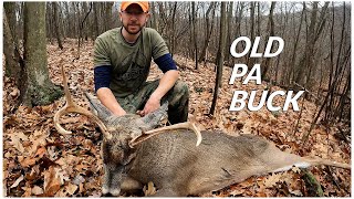 OLD PA BUCKSelf Filmed Rifle Hunt [upl. by Nodearb]