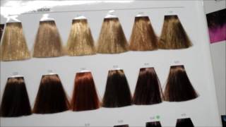 Learn hair tones and neutralising colours with the colour star theory [upl. by Airitac]