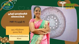 Anatomy of Flowering Plants  Part 9  Monocotyledonous Root  NEET Tamil [upl. by Osmo43]