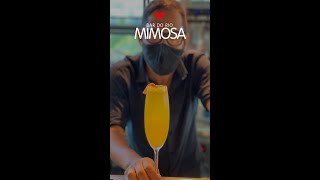 DRINKS Mimosa [upl. by Dnumsed]