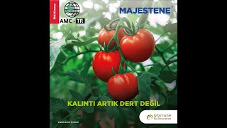 MAJESTENE 95405 gl Burkholderia rinojensis strain A396 ile kalıntı artık dert değil [upl. by Velma]