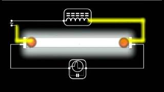 How a Fluorescent Light Works  Schematic Animation [upl. by Spiro847]