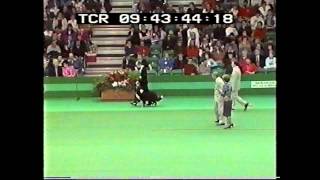 Crufts 1992 Obedience Championships Sandy Wadhams and Ricky [upl. by Llertak]