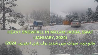 HEAVY SNOWFALL MALAM JABBAD  SWAT MALAM JABBA SNOWFALL 2024MALAM JABBA SWAT PART 02 [upl. by Ahtimat]