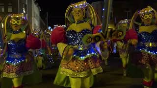 Lichtstoet Carnaval Halle [upl. by Annaet893]