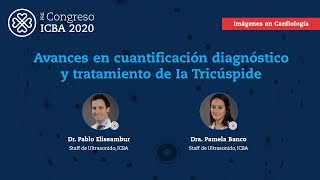 69 Avances en cuantificación diagnóstico y tratamiento de Ia Tricúspide [upl. by Charleen]