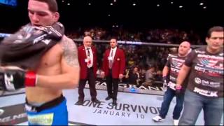 Full FIGHT VIDEO CHRIS WEIDMAN vs ANDERSON SILVA 2 28122013 [upl. by Aivonas]