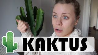 KAKTUS  vlogg [upl. by Vicki]