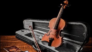 Eastar 3 4 Violin Set Fiddle EVA 3 Matte fo Beginners Review [upl. by Lindi]