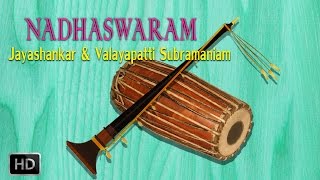 Nadhaswaram  Classical Instrumental  Raghuvamsa Sudha  Jayashankar amp Valayapatti Subramaniam [upl. by Assirt]