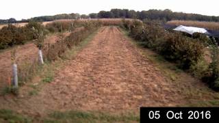 Alley Cropping  4yr Timelapse  UIUC Pilot Study  Ground Cam [upl. by Ileek772]