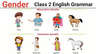 Class 2 English Grammar Gender  Male Female amp Neutral  Easy Explanation amp Examples [upl. by Luapleahcim]