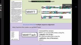 MAFFTMAFFTash Web services for structureinformed multiple sequence alignment [upl. by Seravaj]