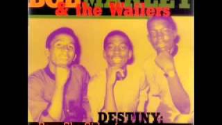 Bob Marley amp The Wailers  Your Love [upl. by Uehttam]