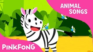 Zebra Cadabra  Zebra  Animal Songs  Pinkfong Songs for Children [upl. by Kape]