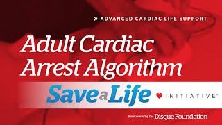 7d Adult Cardiac Arrest Algorithm 2024 [upl. by Ib]