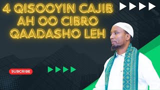 4 Qisooyin Cajiib ah oo Cibro Qaadasho leh Sh Abdirisak Hashi [upl. by Ahsinej]