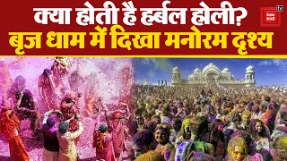 Holi 2024 Brij धाम में खेली गयी अनूठी Herbal Holi Lord Krishna की भक्ति में झूमे श्रद्धालु [upl. by Etirugram]