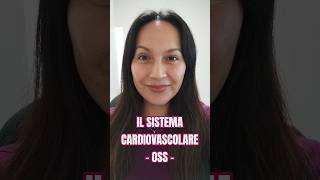 IL SISTEMA CARDIOVASCOLARE  OSS Online oss corsooss sistemacardiovascular viralshorts [upl. by Mount564]