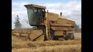 New Holland 8050 Clayson combine [upl. by Akelahs]