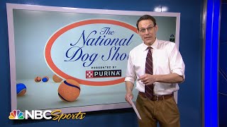 National Dog Show breed fun facts with Steve Kornacki  NBC Sports [upl. by Relluf]