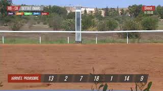 Live Hippodrome « SETTAT »  Courses du « 17062023 » [upl. by Akenet]