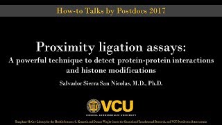 Proximity Ligation Assays Detect proteinprotein interactions and histone modifications [upl. by Syd875]