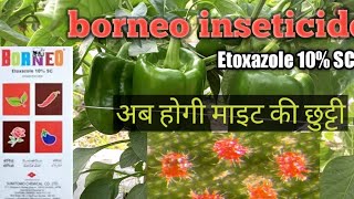 Sumitomo Borneo Etoxazole 10 SC Insecticides Red Spider Miteमाइटसाइड the smart farming [upl. by Katya39]