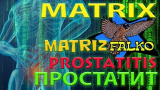 ПРОСТАТИТ  PROSTATITIS [upl. by Katzir]