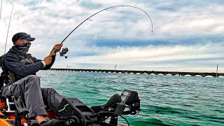 Bull Shark Showed Up  Florida Keys Kayak Fishing The 7 Mile Bridge  Adapt amp Overcome [upl. by Vickie]