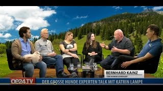 Hundetalk oe24tv Hundeschweiger Bernhard Kainz [upl. by Ojadnama]