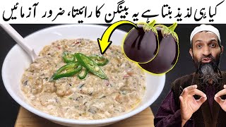 Baingan ka Raita Recipe by RecipeTrier بیگن کا رائتہ Aubergine  Egg plant Dip [upl. by Eillah]