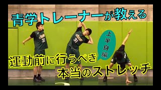 【👀青学トレーナーが教えるダイナミックストレッチ❗️】上半身編 [upl. by Lauretta337]