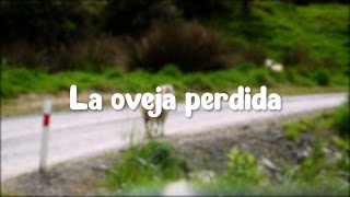 Canción Infantil La oveja perdida pista  Lección 20 [upl. by Lumbard]